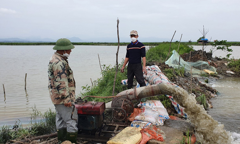 Đắng đót lũ "trái mùa"