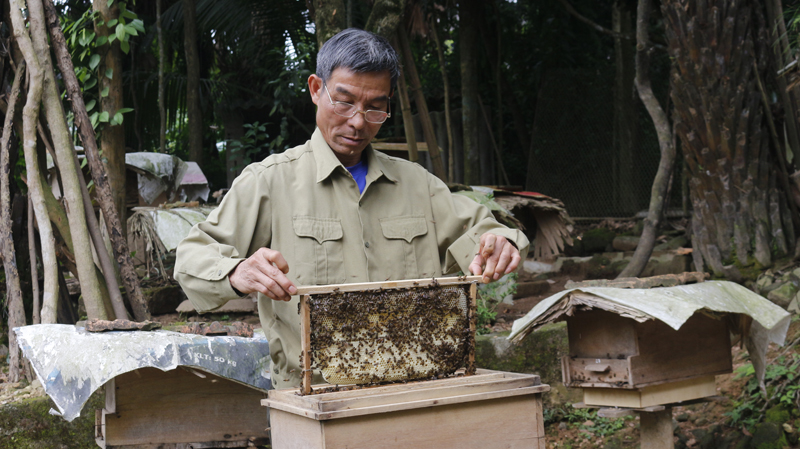 Chuyện ông Hòa "vác tù và hàng tổng"