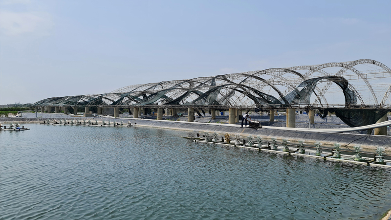 "Triệu phú" làng biển