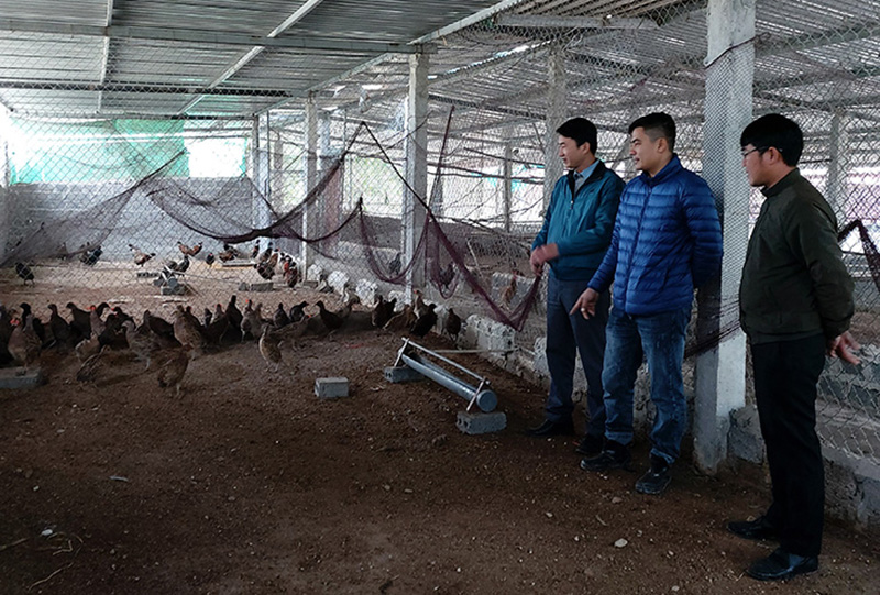 TP. Đồng Hới: Xây dựng nông thôn mới thích ứng đô thị hóa