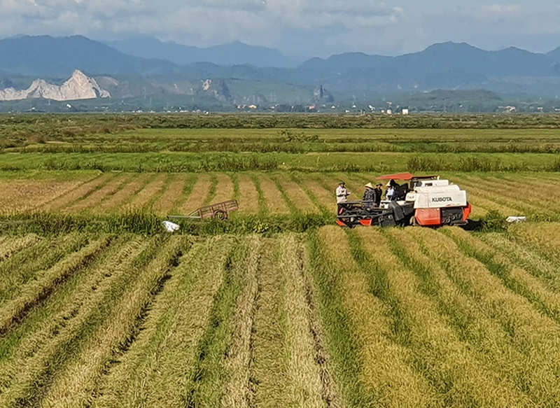 Đổi mới, phát triển và nâng cao hiệu quả kinh tế tập thể