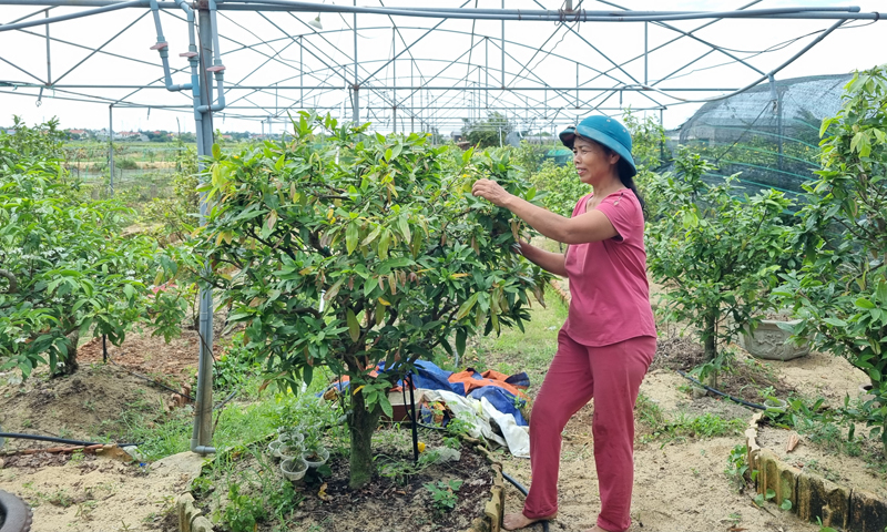 Điểm tựa vững chắc cho hội viên nông dân