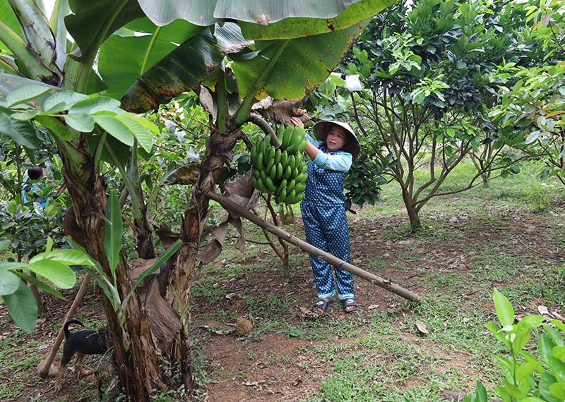 Nghị lực của người phụ nữ khuyết tật