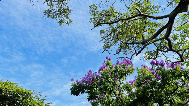 Phía ấy, mặt trời lên