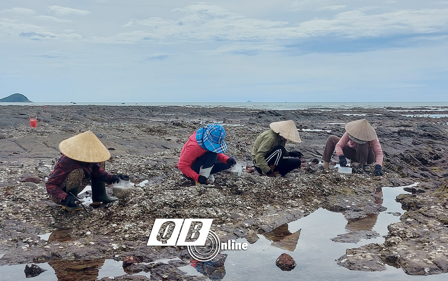 Nghề "mổ" hàu ở Hòn La
