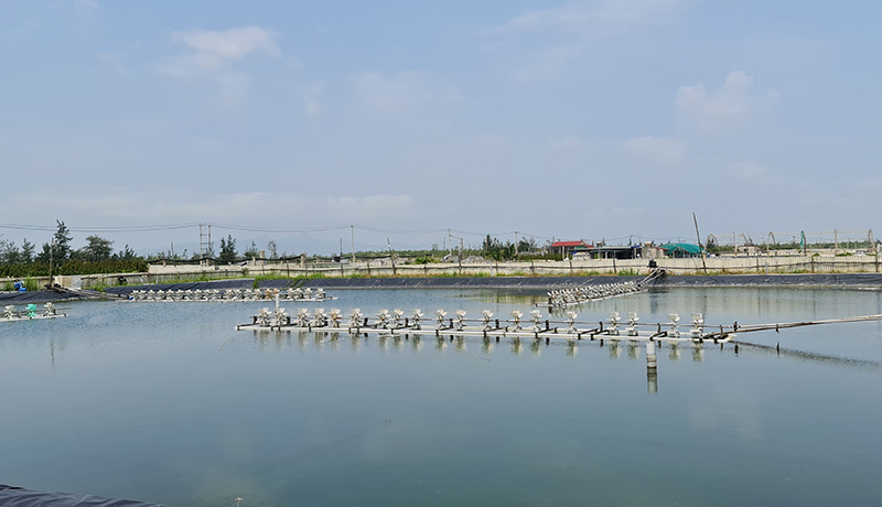 Số tiền thuế phát hiện qua thanh tra, kiểm tra gần 14 tỷ đồng