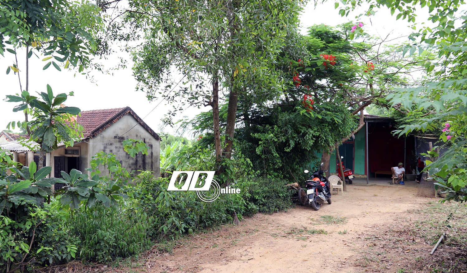 Chính quyền bị xem thường!?