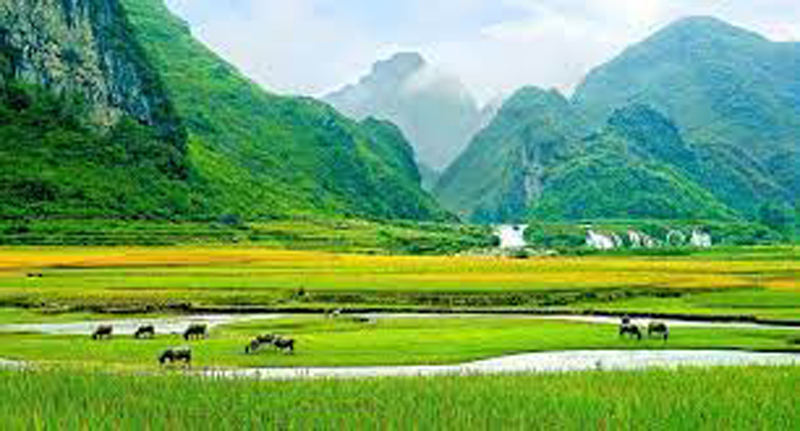 Ở núi