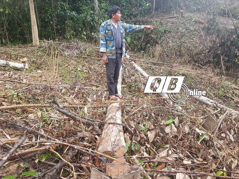 Khởi tố nguyên Bí thư, Chủ tịch UBND xã Hóa Phúc do chặt phá rừng của dân