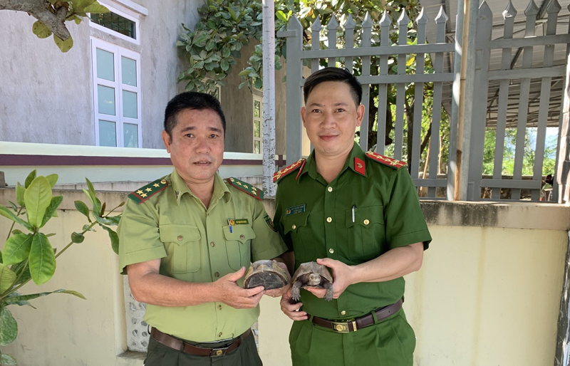 Vận động nhân dân giao nộp 2 cá thể rùa quý hiếm