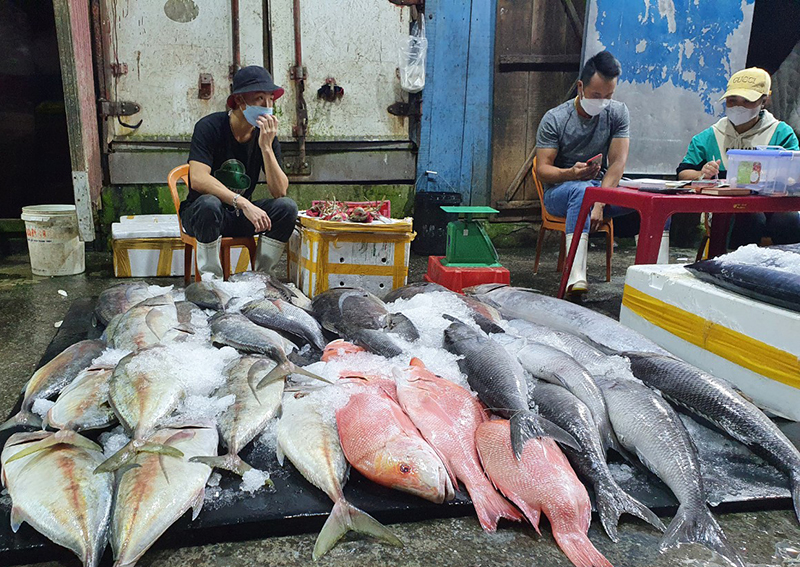 Sản lượng khai thác thủy sản ước đạt hơn 40.000 tấn