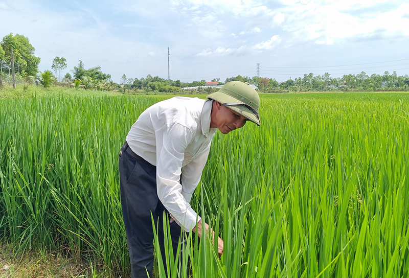 Làm giàu từ trang trại