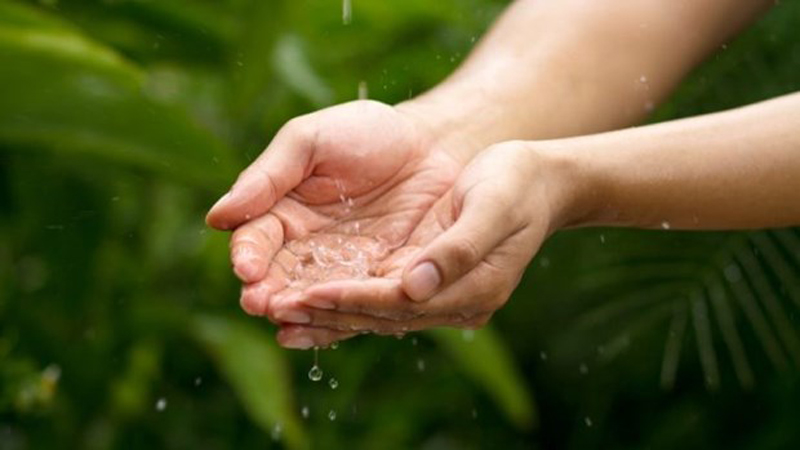 Nghiên cứu mới: Nước mưa trên khắp hành tinh không an toàn để uống