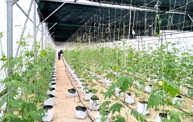 Hà Thiệp-Điểm sáng xây dựng nông thôn mới kiểu mẫu