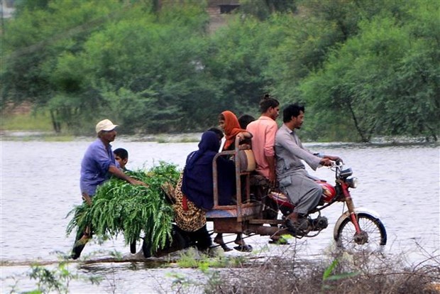 Pakistan đối mặt với đợt lũ mới, 1.000 người thiệt mạng từ đầu mùa mưa