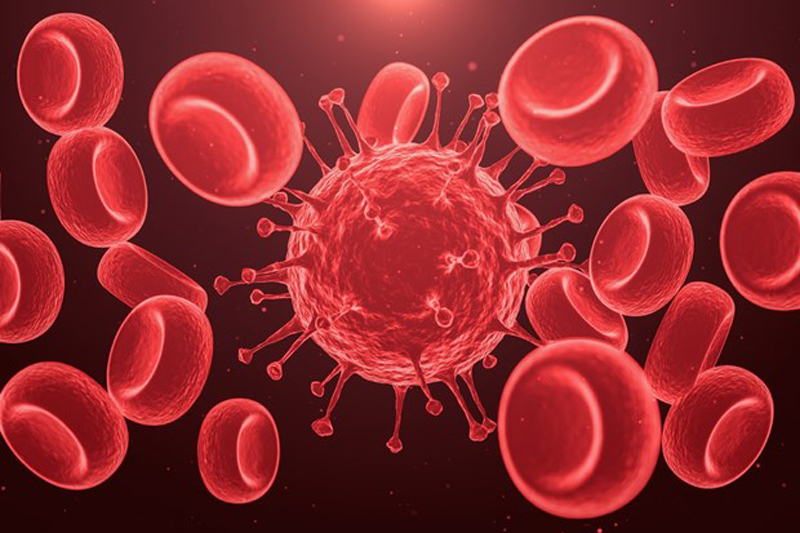 Xác định được gene liên quan đến căn bệnh hiếm gặp về máu