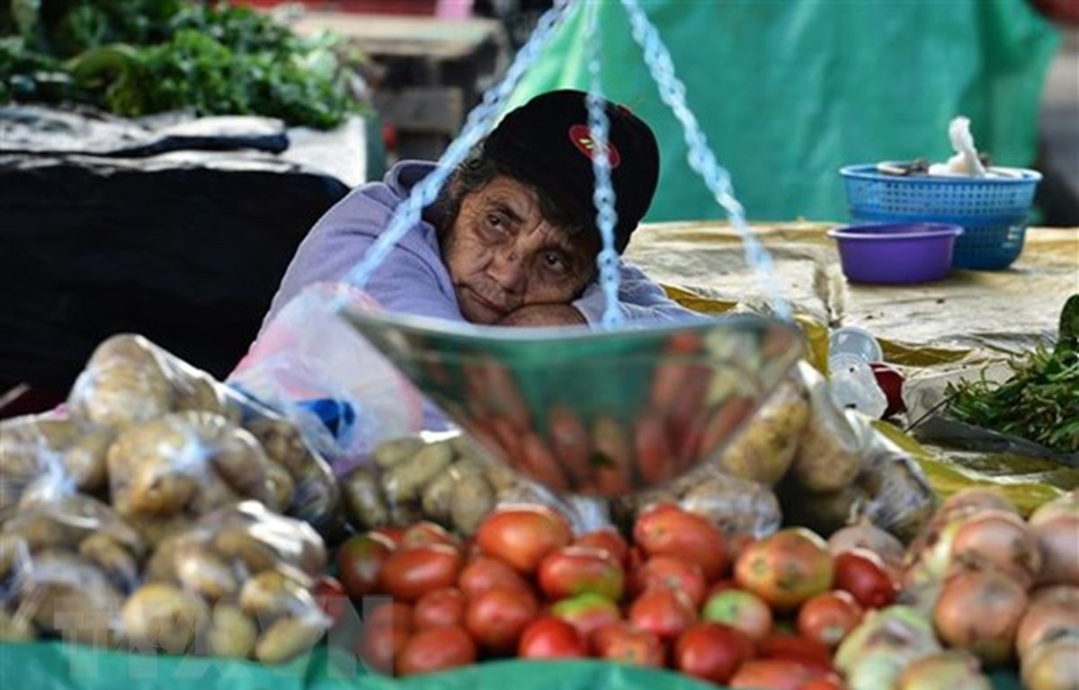 Hành động khẩn cấp để ứng phó cuộc khủng hoảng lương thực toàn cầu