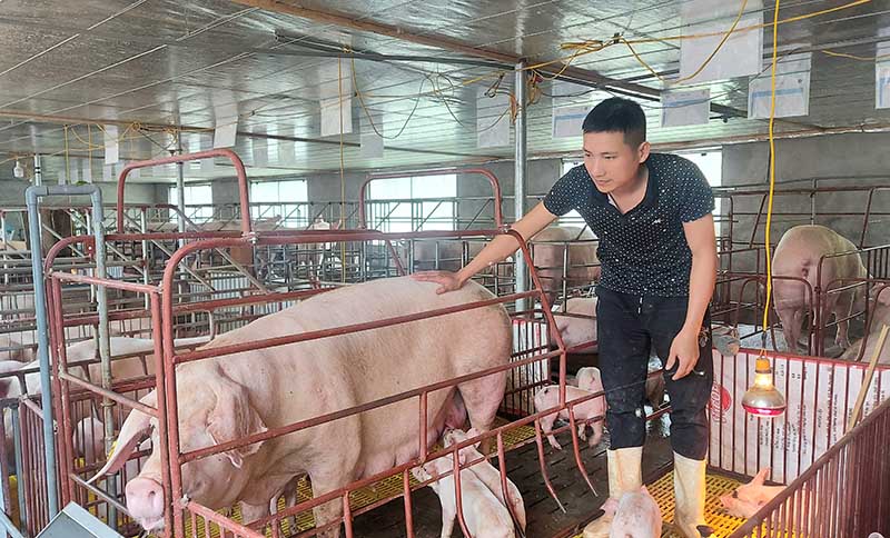 Lập nghiệp, làm giàu trên quê hương