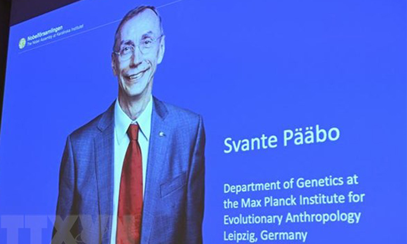 Nobel Y sinh tôn vinh phát hiện về quá trình tiến hóa của loài người
