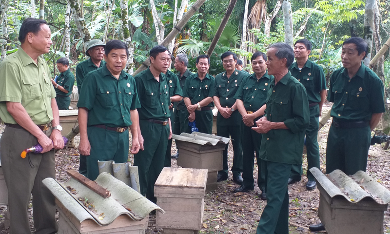 Cựu chiến binh Minh Hóa giúp nhau giảm nghèo