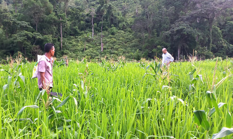 Ngày mới trên "đất lửa" Tân Trạch