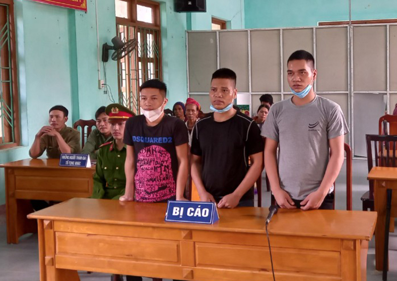 Khai thác gỗ trái phép, lĩnh án 66 tháng tù