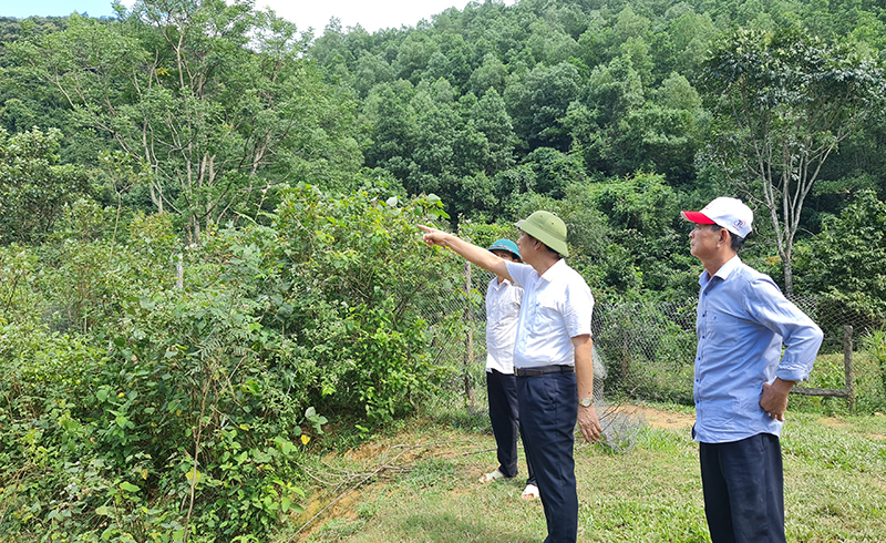 Khảo sát tuyến du lịch đường sông Nhật Lệ-Long Đại