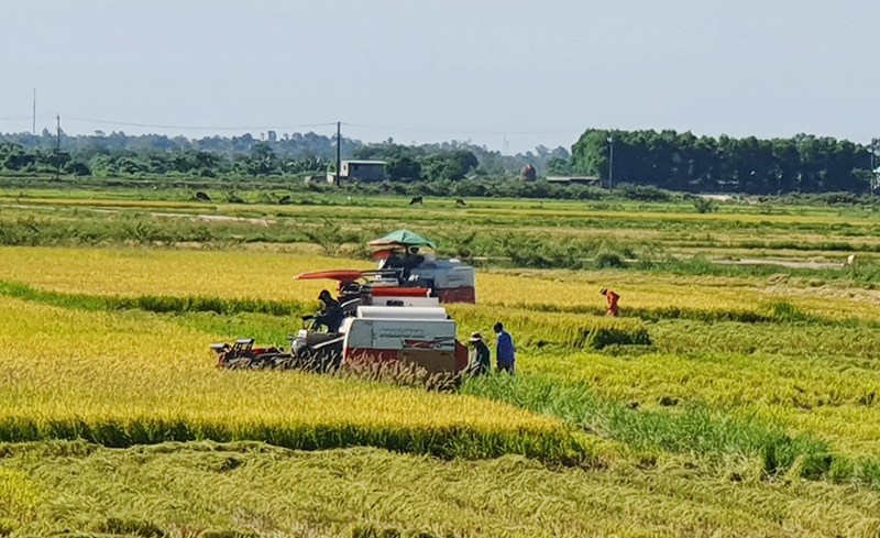 Chiến lược phát triển nông nghiệp, nông thôn bền vững giai đoạn 2021-2030, tầm nhìn đến năm 2050 trên địa bàn tỉnh