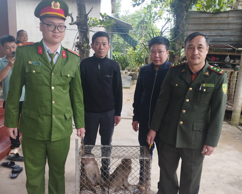 Người dân tự nguyện giao nộp 2 cá thể khỉ đuôi lợn