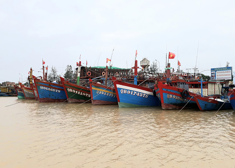 Quyết liệt thực hiện các giải pháp chống khai thác IUU
