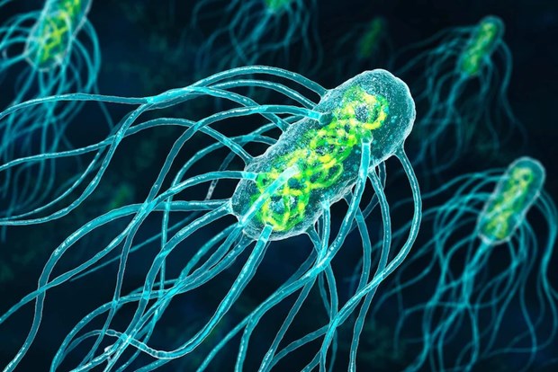 Biến đổi khí hậu làm gia tăng các siêu vi khuẩn kháng thuốc kháng sinh
