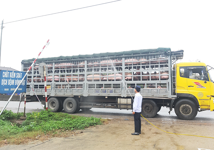 Tăng cường công tác quản lý, kiểm soát giết mổ động vật bảo đảm an toàn dịch bệnh và thực phẩm