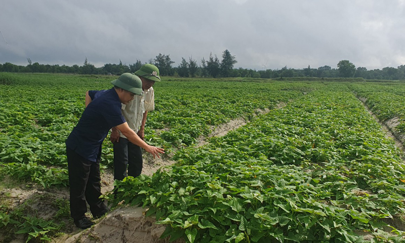 Gắn xây dựng Đảng với phát triển kinh tế-xã hội