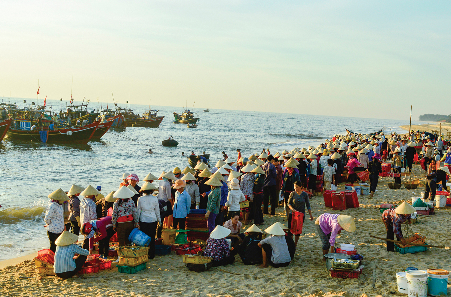 Vươn khơi đầu năm
