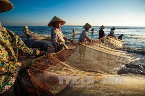 Quyết tâm gỡ cảnh báo "Thẻ vàng" hải sản trong năm 2023