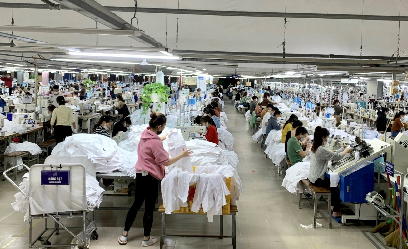 "Phao cứu sinh" của người lao động khi gặp rủi ro