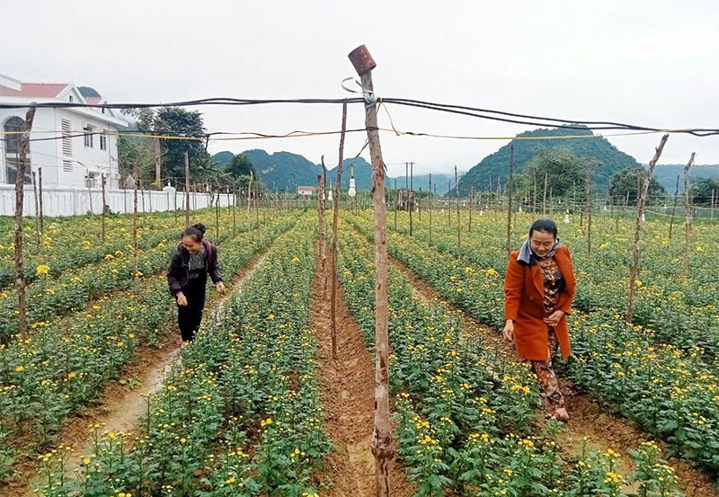 Trên 2.600 cựu chiến binh được vay vốn phát triển kinh tế