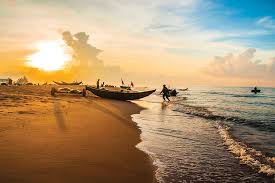Con chép làng biển