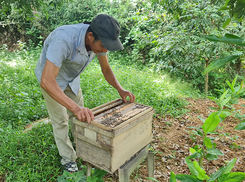 Chú trọng giải quyết việc làm cho lao động nông thôn