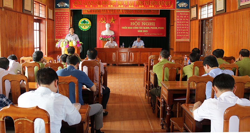 Triển khai công tác quản lý bảo vệ rừng