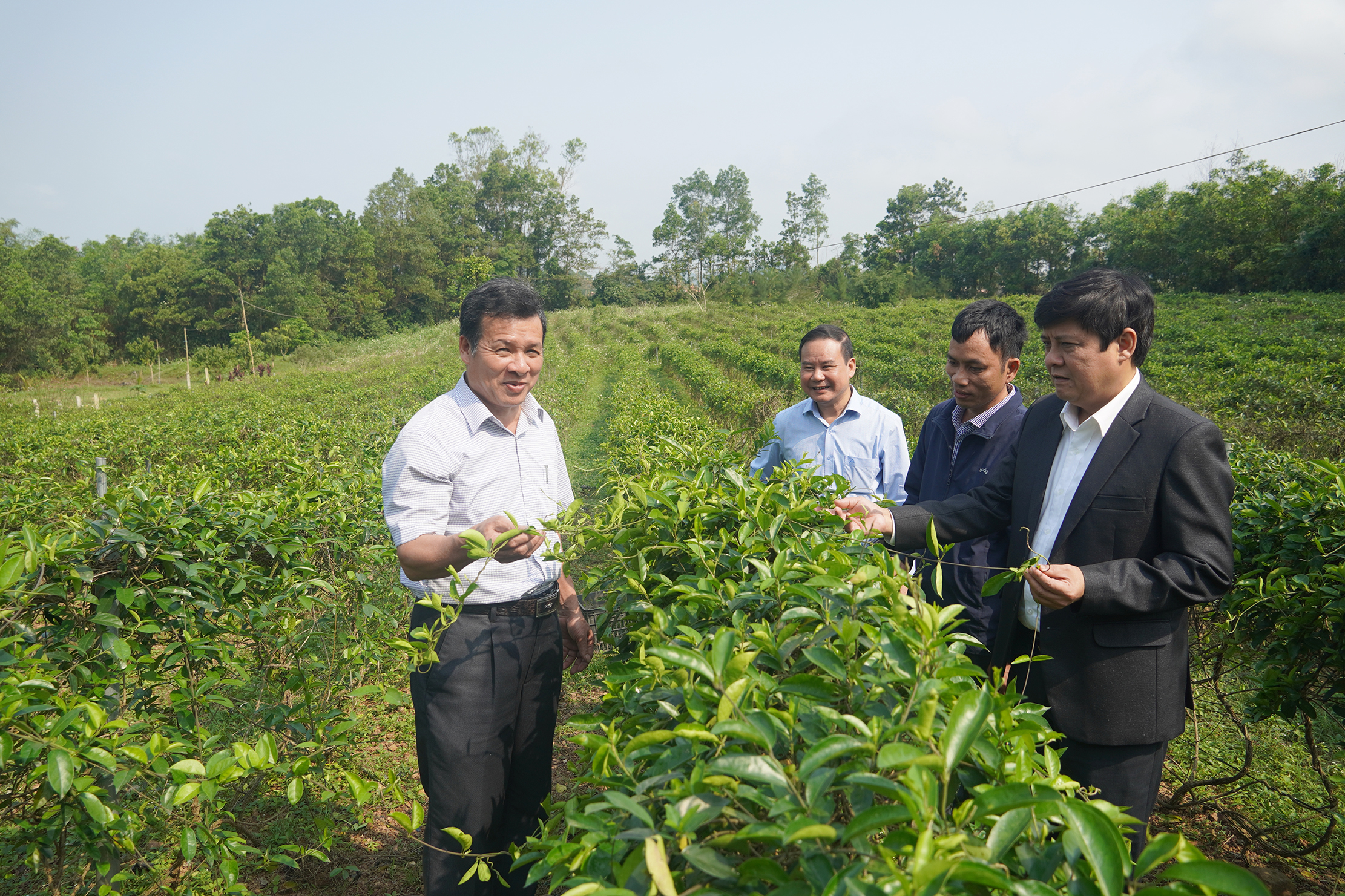 Xây dựng hội vững mạnh, phát huy vai trò làm chủ của nông dân