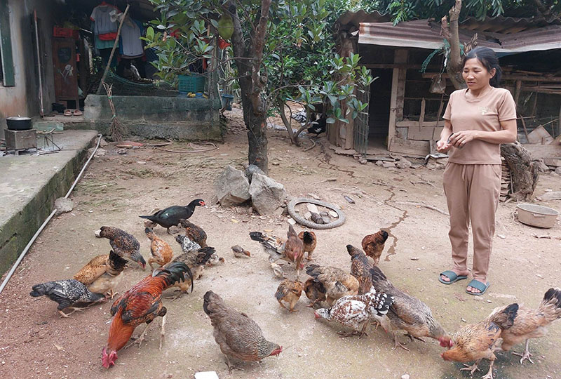 Tín dụng chính sách hỗ trợ phụ nữ phát triển kinh tế