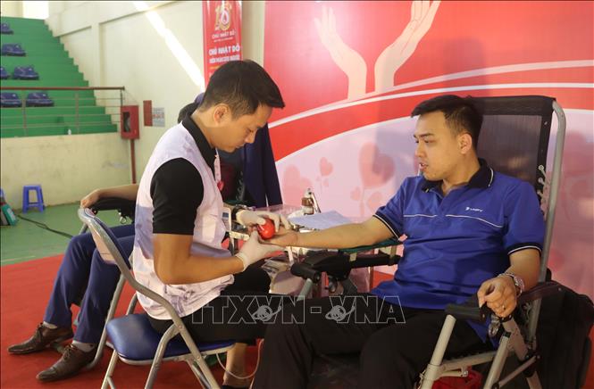 Sức sống bền bỉ của phong trào hiến máu nhân đạo