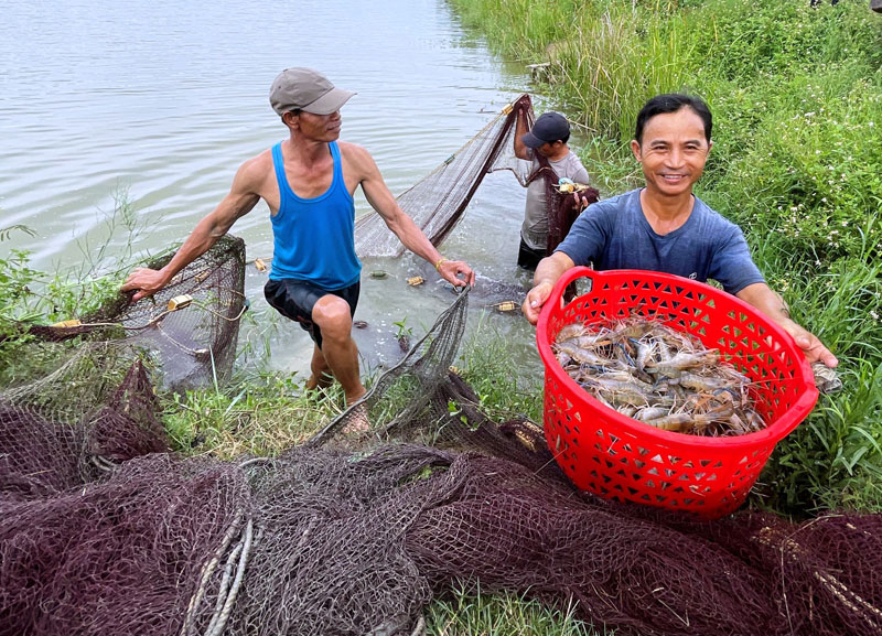 Diện tích thả nuôi thủy sản đạt gần 2.600ha