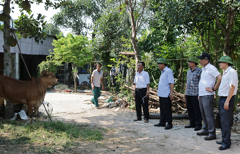 Lãnh đạo UBND tỉnh kiểm tra công tác phòng, chống dịch bệnh động vật tại huyện Quảng Trạch