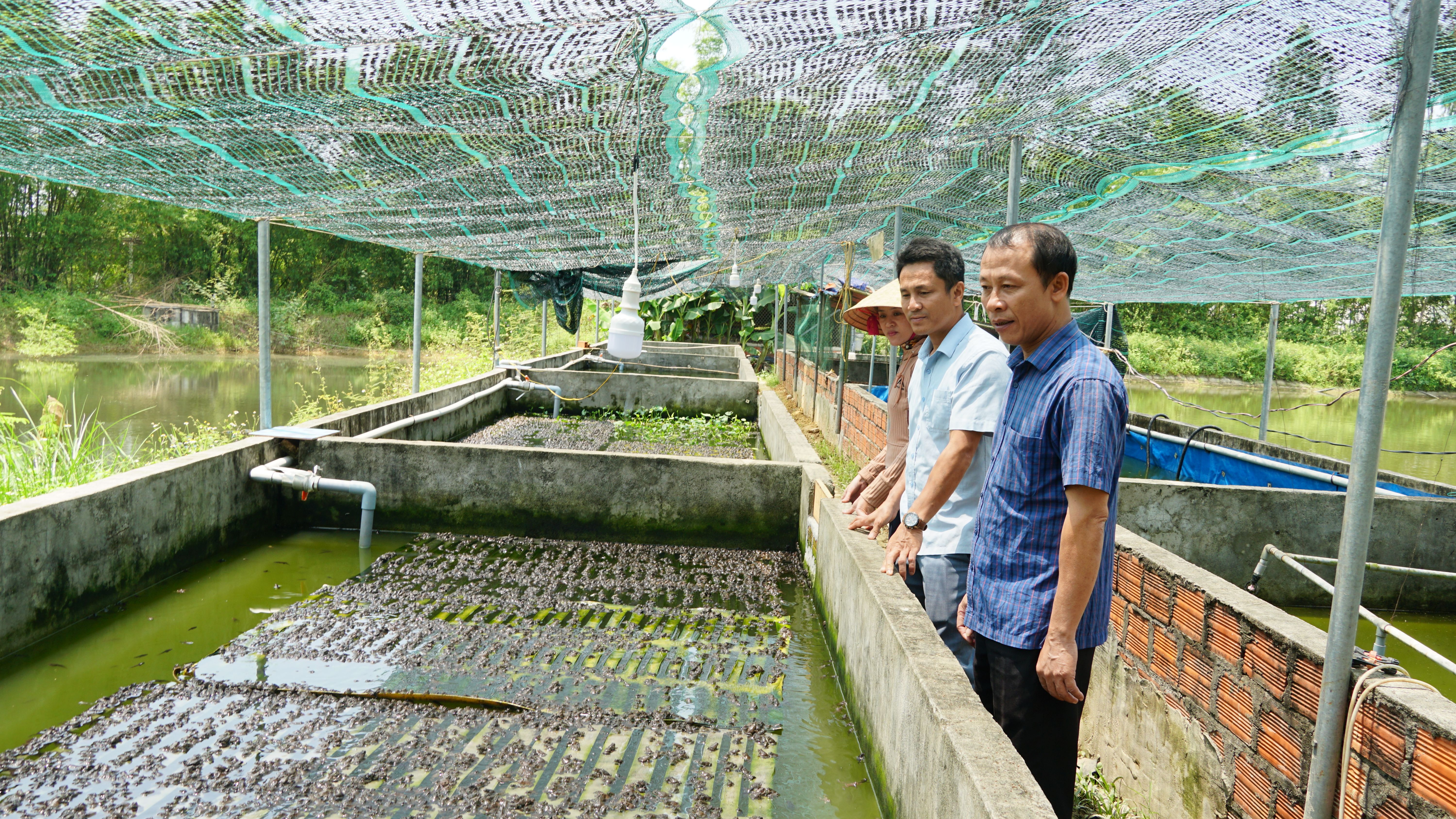 Phát huy vai trò chi bộ trong phát triển kinh tế-xã hội