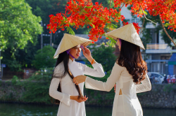 Giấc mơ hè