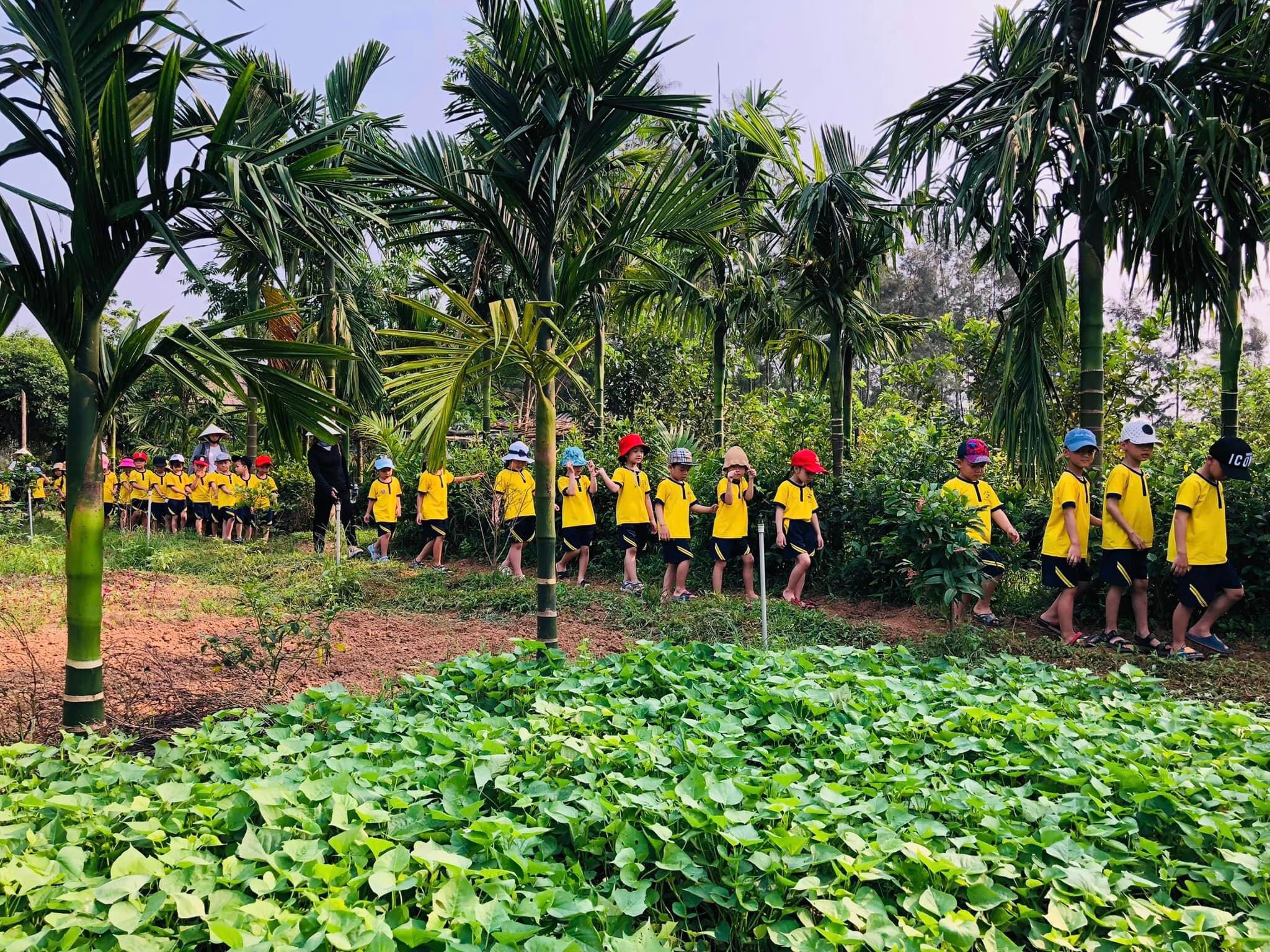 Trên 1.400 học sinh đến thăm quan, trải nghiệm tại An Nông Farm
