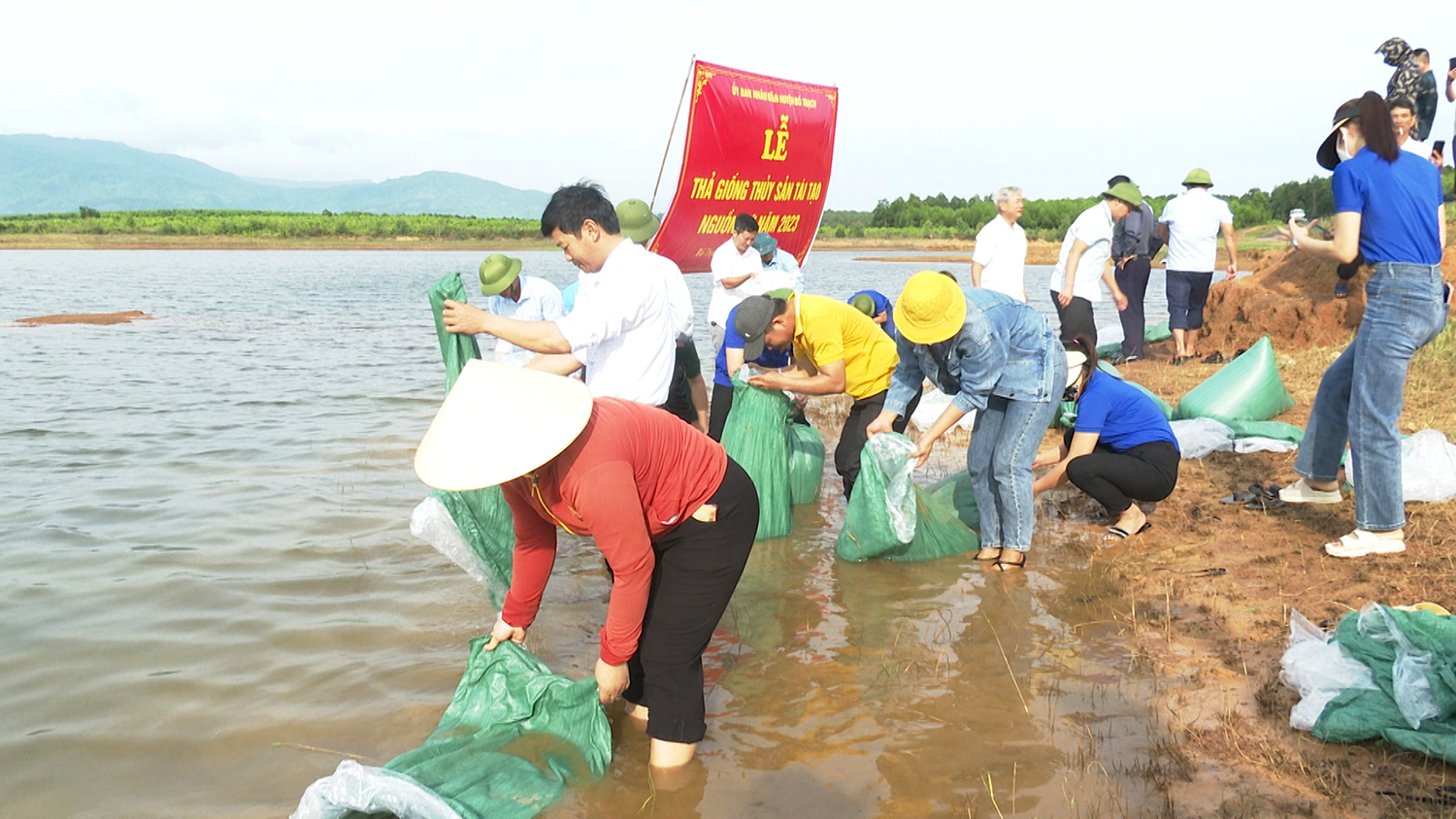 Bố Trạch: Thả 27.000 con cá giống tái tạo nguồn lợi thủy sản