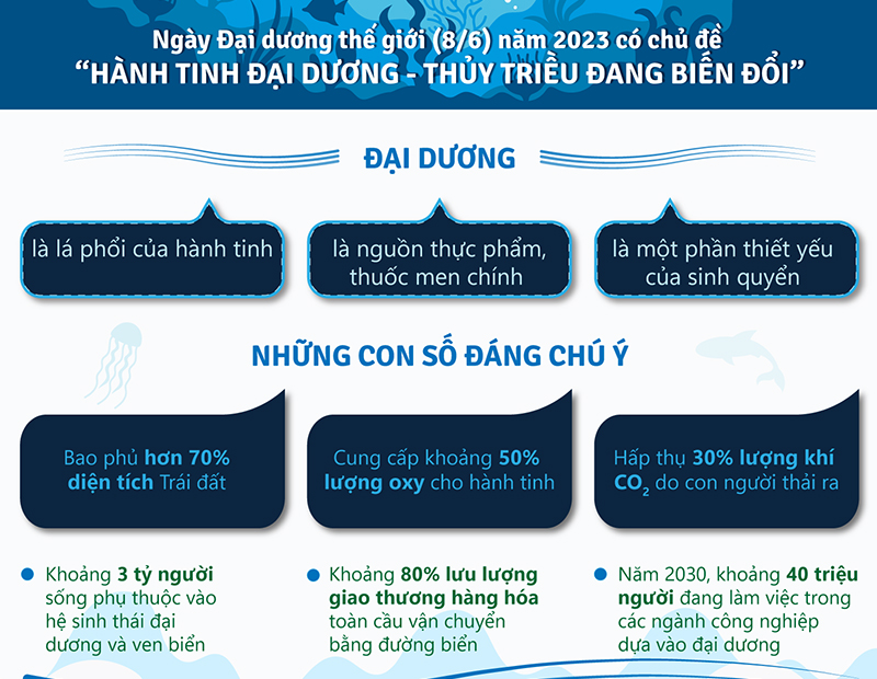 Những con số đáng chú ý về đại dương